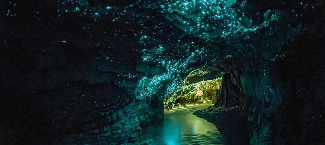 Waitomo Glowworm Caves Alien