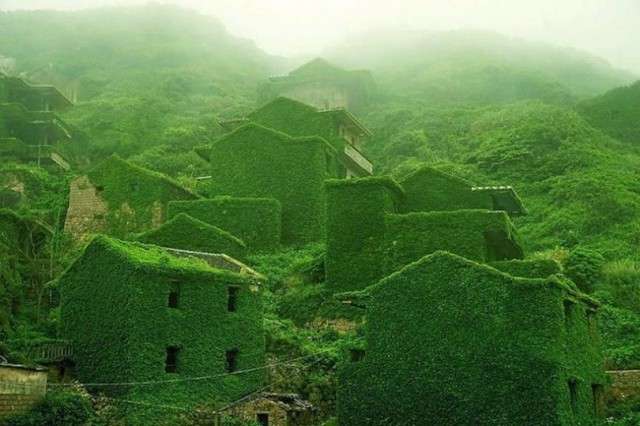 The Green Village of China