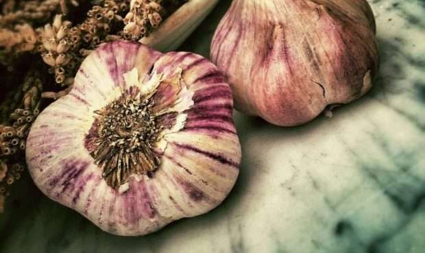 Difference between garlic and Death Cama