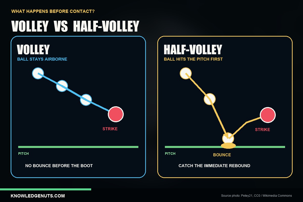 Volley and Half-Volley Contact Timing