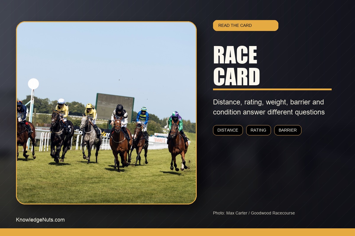 Darwin Cup Race Card